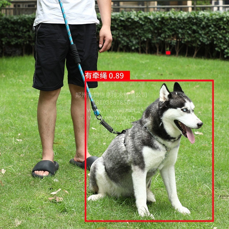识别遛狗牵绳系统