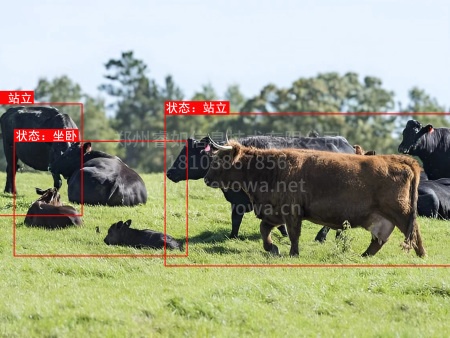 家畜状态监测